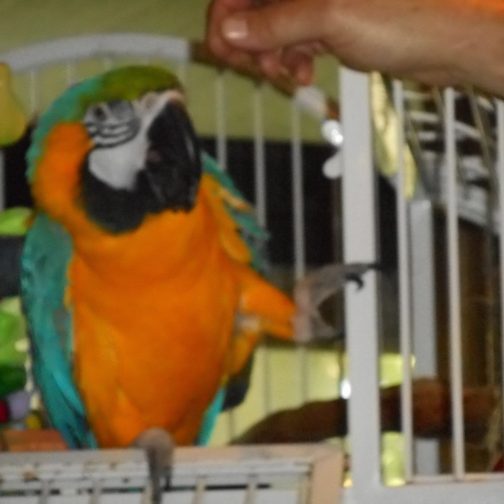 Meet your Posher, Kathy